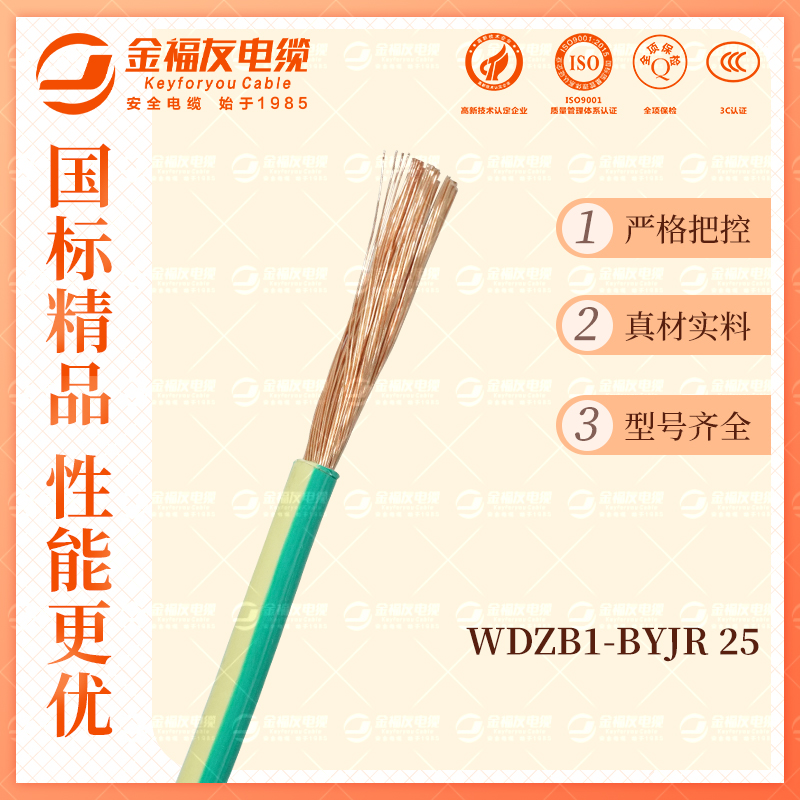 金福友產品-10.9-WDZB1-BYJR-25